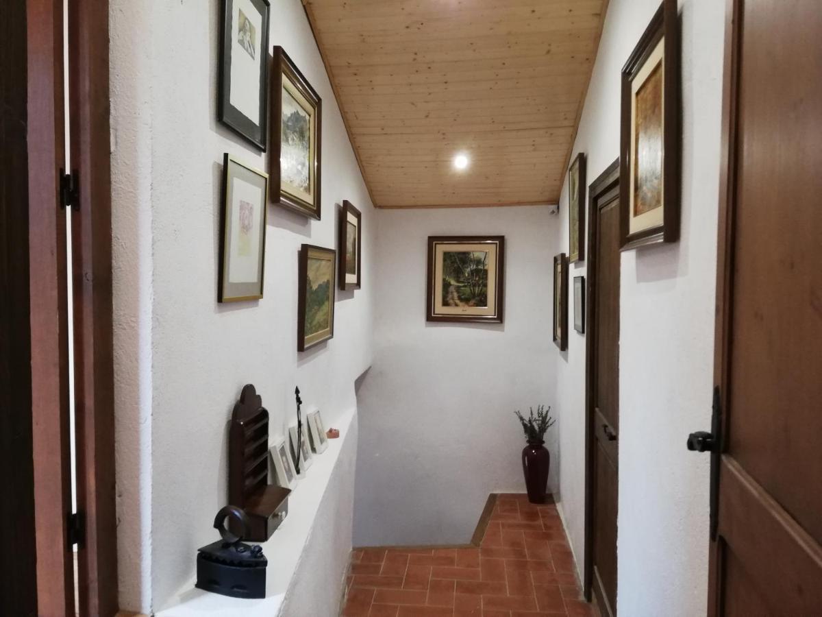 Cal Bove Apartment Sant Guim de Freixenet ภายนอก รูปภาพ